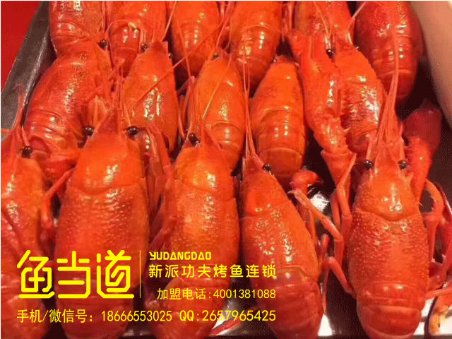 秘制卤煮小龙虾，小龙虾加盟，烤鱼加盟，鱼当道